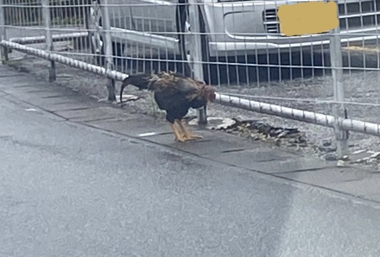 F045358F-C01C-4408-A11F-5D75E2BEF24F